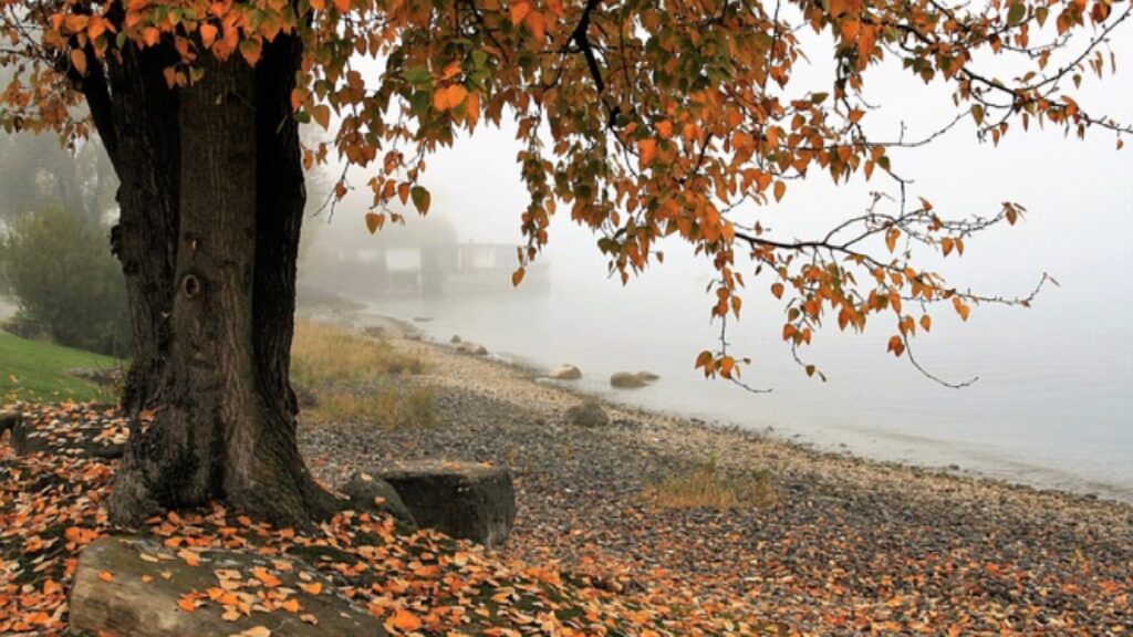 valor sentimental en el justiprecio de una finca rústica